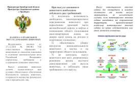 ПАМЯТКА О ПРАВИЛЬНОМ ВЫГУЛЕ ДОМАШНИХ ЖИВОТНЫХ.
